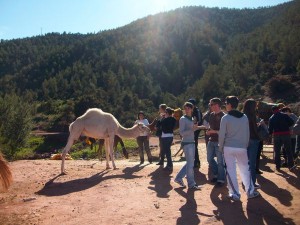 Marrakech 6